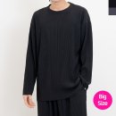 피턴진 이미지