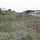 동막동(6) 이미지