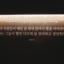 파우자 이미지