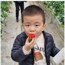 천마태권도 이미지