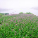바다섬