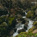 뷰티다룸천안