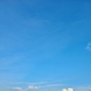 메가리조트제주 이미지