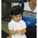 지지미 Daum카페