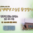멈추지 않는 보아스 (룻 4:1-12) 이미지