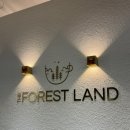 더포레스트랜드2