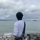 🇯🇵 日本 3월의 오키나와 날씨 및 뚜벅이 관광지 탐방후기 :: 북부투어 버스 예매 필수 추전_지노투어 🎏🚌