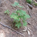 풀꽃농장 이미지