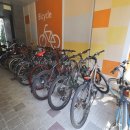 뉴강남공인중개사사무소 이미지