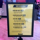 스몹고양 이미지