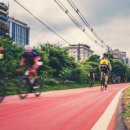 선형농장 이미지