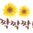 교동현대홈타운(아) 이미지