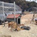서강원농장 티스토리