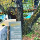 광덕사 일대 이미지