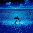 그랑블루 이미지