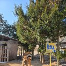 무지개황토 이미지