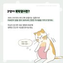 장호원동물병원 이미지