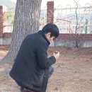 동부초등학교율포분교장 이미지