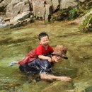 꿈꾸는어린이집 이미지