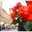 꽃과사람들 이미지