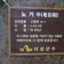 신평초등학교 이미지