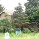 신산리-3 이미지