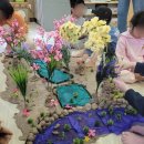 (주)이마트안동점 내 동물판매점 | 대구 경북 도자기 공방 크리도자기 체험활동 어린이집, 유치원 흙놀이 수업