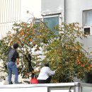 한신아파트 이미지