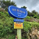 벨비앙펜션 | [남해 여행 코스 / 남해군 남면] 다랭이마을 - 파란 바다 와 푸른 산 사이의 계단식 논 풍경 (주차팁 포함)