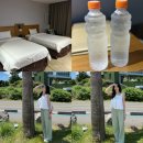 동문당구장 | 제주도 여행 숙소 제주공항 가성비 높은 오션뷰 탐라스테이 호텔