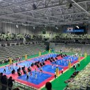 용인대 국가대표 김병태 태권도장 이미지