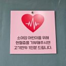 비빔사계 | 기장 칠암사계근처맛집 매생이칼국수와 코다리회 야채비빔밥