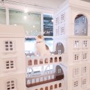 브룩스캣슬 이미지