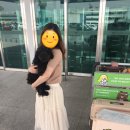 슈가팸팸 이미지