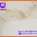 평안동-2 이미지