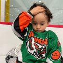 꽃길만 걷게 해줄'개' | 꽃길만 걷게 해줄게 그 길을 같이 걸을래