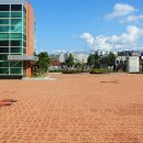 (주)골든플러스