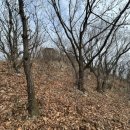 계양문화회관 | [계양산 등산] 추억의 계양문화회관 코스, 계단산 말고 '진짜' 산길로 정상 찍기!