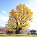 금산2리 이미지