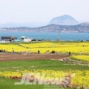 253105 네이버블로그