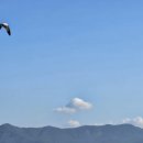 욕지도 관광농원 이미지