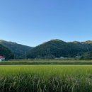 광덕목장 이미지