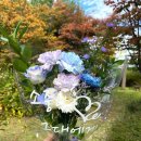 느루소공원 이미지