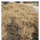 오향골농장 이미지