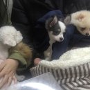 보노보노동물병원