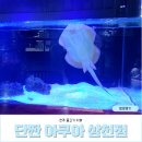 단짠아쿠아 삼천점 이미지