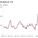 세일투어