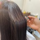 신데렐라 살롱