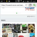 꽃님이약국 이미지