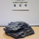 수석연합회 회원전 이미지